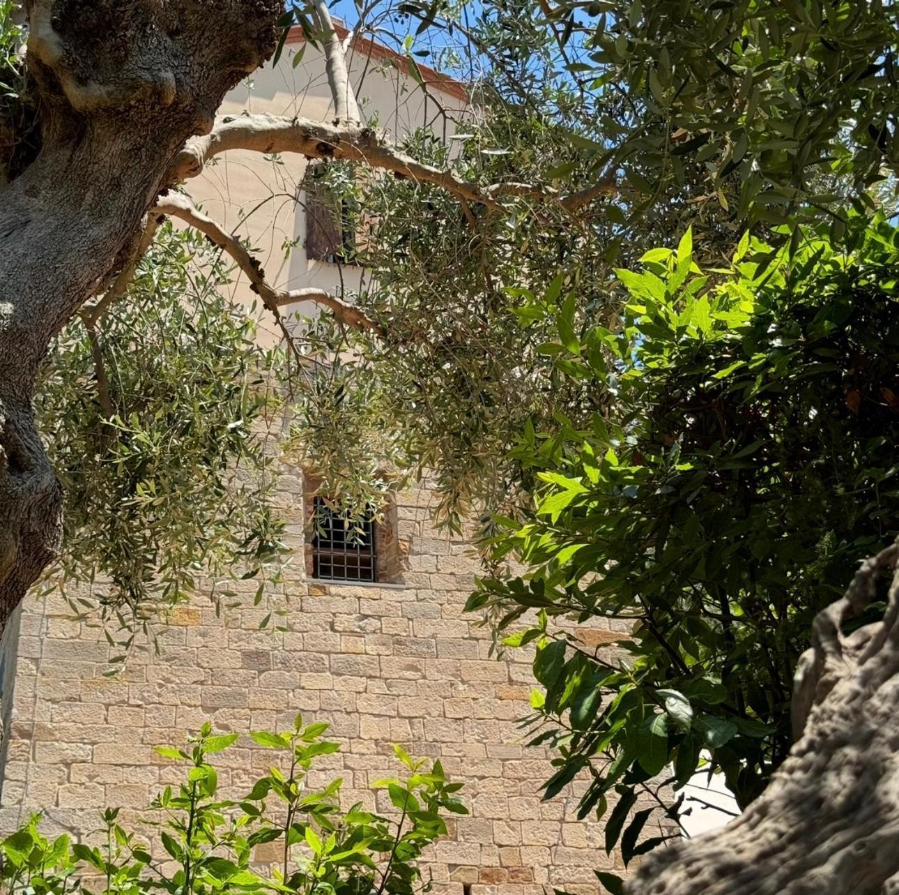 Madonna Del Poggio Cav Lejlighedshotel Scarlino Eksteriør billede
